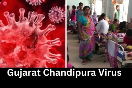 Gujarat Chandipura Virus