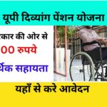 Up Divyang Pension New List 2024